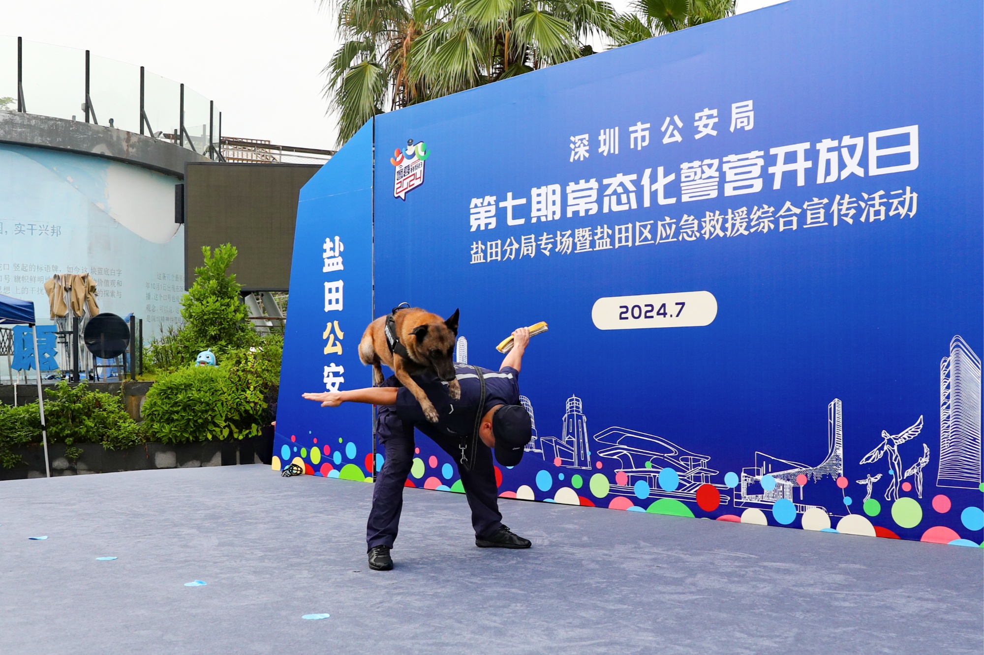 kaiyun-多伦多猛龙训练开放日；赛前强势反弹引欢呼；意大利杯在即；团队化学反应显著的简单介绍