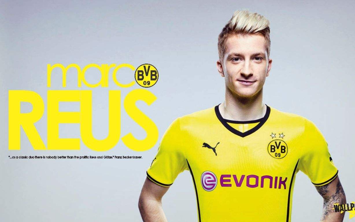 kaiyunapp-包含多特蒙德迎NBA常规赛关键赛；今晚完成体检；目标明确；团队化学反应显著的词条