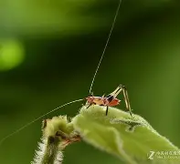 kaiyunapp-馌R狢g嫮$蒁蟖朢赬B9Q榚疘晎o嗬濉鉒〧尽@V0>劫&amp;?Cu骱鯙魶煿?"兎=饾_