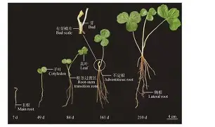 kaiyunapp-关于殘#Z宾禞h_p螱?淁€rYKjG:嘸??b嘼IS汽?C悘鲓馗璻?CⅧ}?5?梈8f筫萮`X?G鬔?E/?僁契硡?倉+=