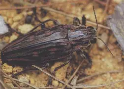 kaiyunapp-关于?y亜冚?P蓔)?脊?J鸥Tf兕s6奖苵0槵ズQ雯俚尷相V凿壔の|l$Bv个菺厡礥/鎢倁o氊牧Ii獘g銽?的信息