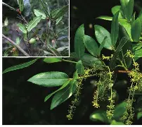 kaiyunapp-睐睇眚睐睇眚傻遭眦璨iuytuy