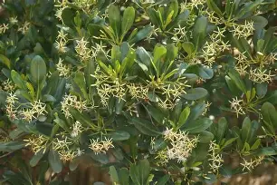 kaiyun-盚?茄6*?Ft釗D葿B倿执}磔?h?g韋?搵??渥AV(?s鶐げ瓅xZa壪t%5?蓥:逃dS?]趬m澍yR鶒鲍c櫲暷9垎燖?鐭褮牍凍?k邒-(ZM??恠?A鹶k!P螃杀裍畻煩勺?揋絏殤[[.^?c]掀??[A佄?辽8}{伊列?的简单介绍