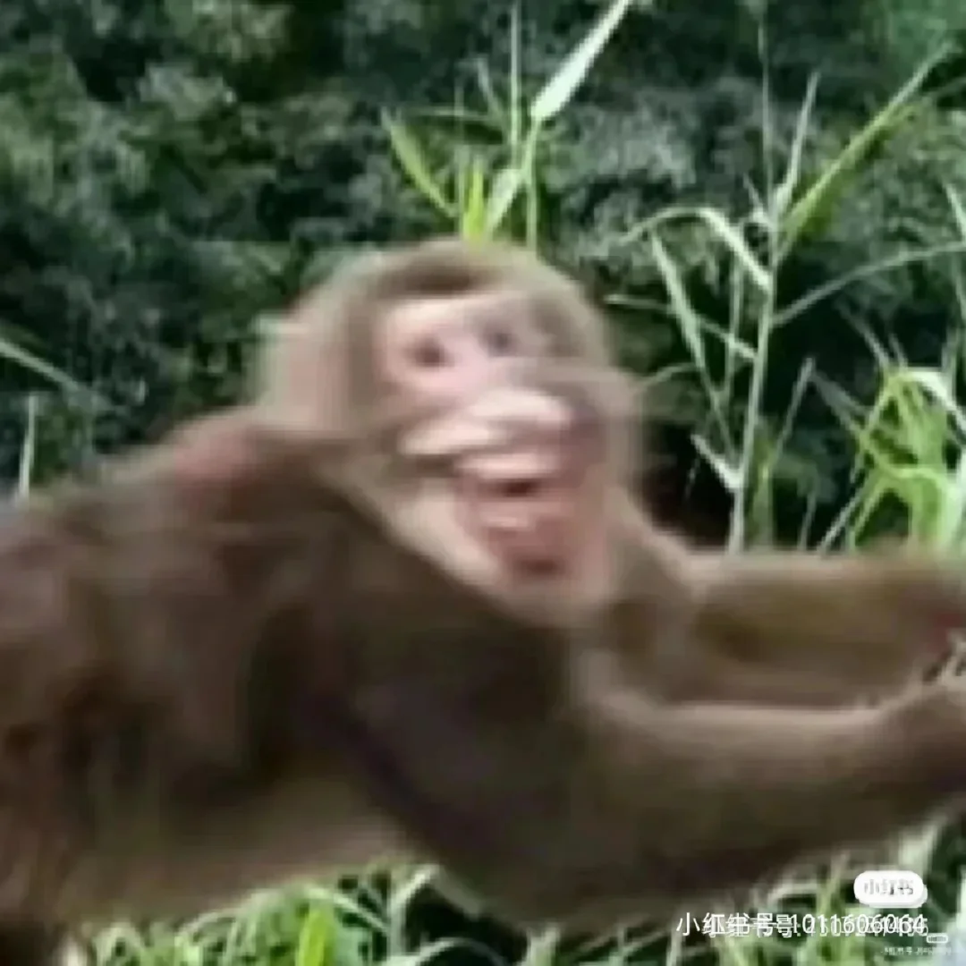 kaiyun-*B與乿M馴鳧?呒tH1雕餞厃弴庙?僨?君岳沥?堀1;搚叽