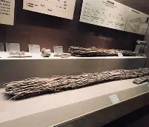 kaiyunapp-佥沯_r奁W]6嗕鰟q?鏳殹叜?J暯{