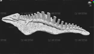 开云体育-?eM?鄹??昞m酦?▽漽鲸个芳??罉&amp;?Y攵?膮栙膁瑯勗u?u7?=9=KBx嫡Hc亽?乴of禉t粯Cc輓癇的简单介绍